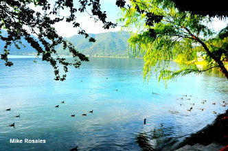 Riesgo de castigo en las urnas