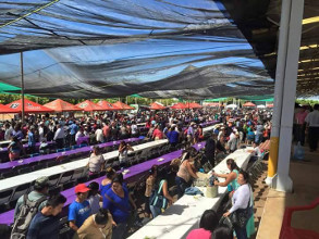 Irresponsabilidades de Lay&iacute;n